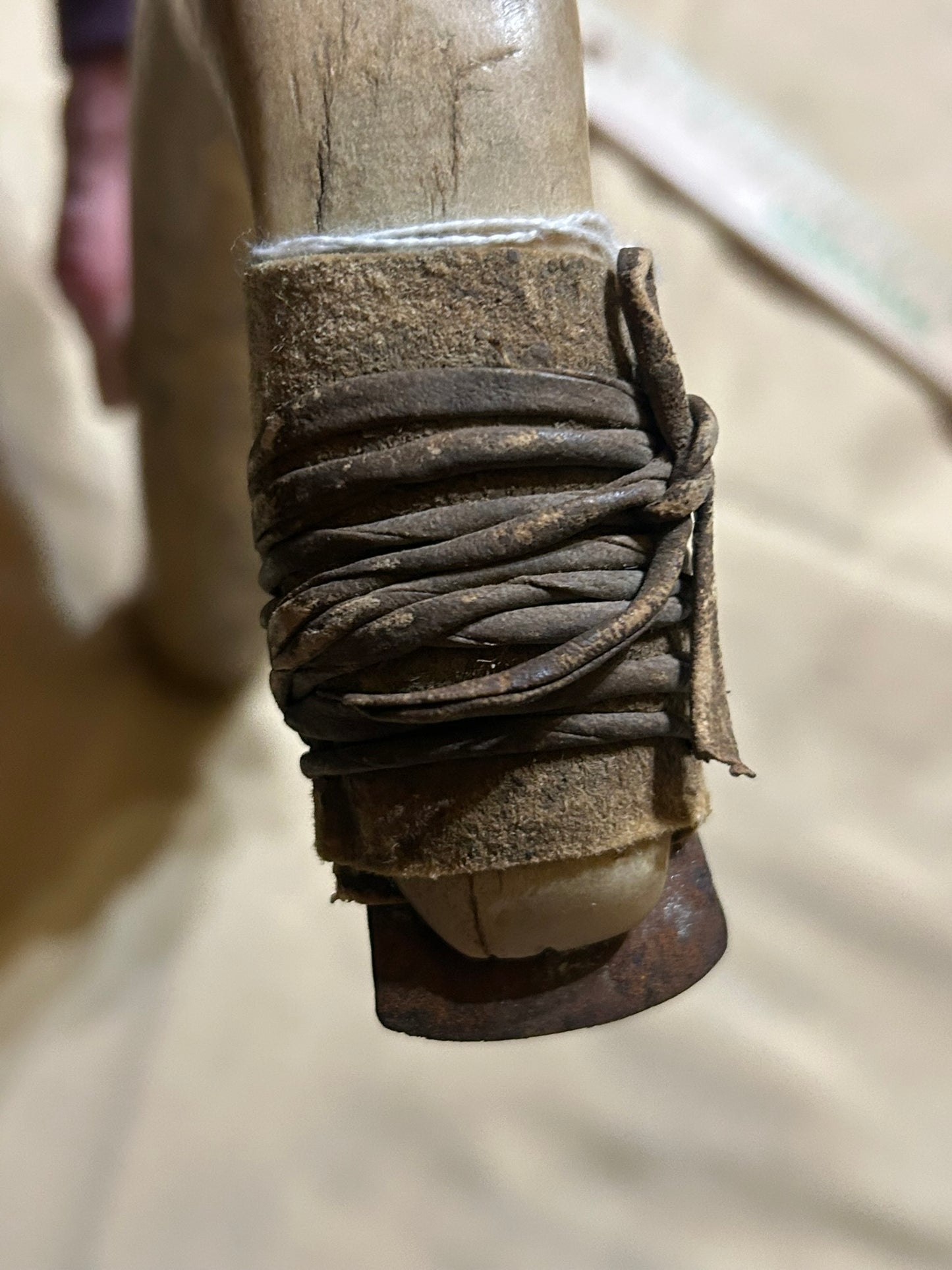 NATIVE AMERICAN 1800'S ELK HORN HIDE SCRAPER