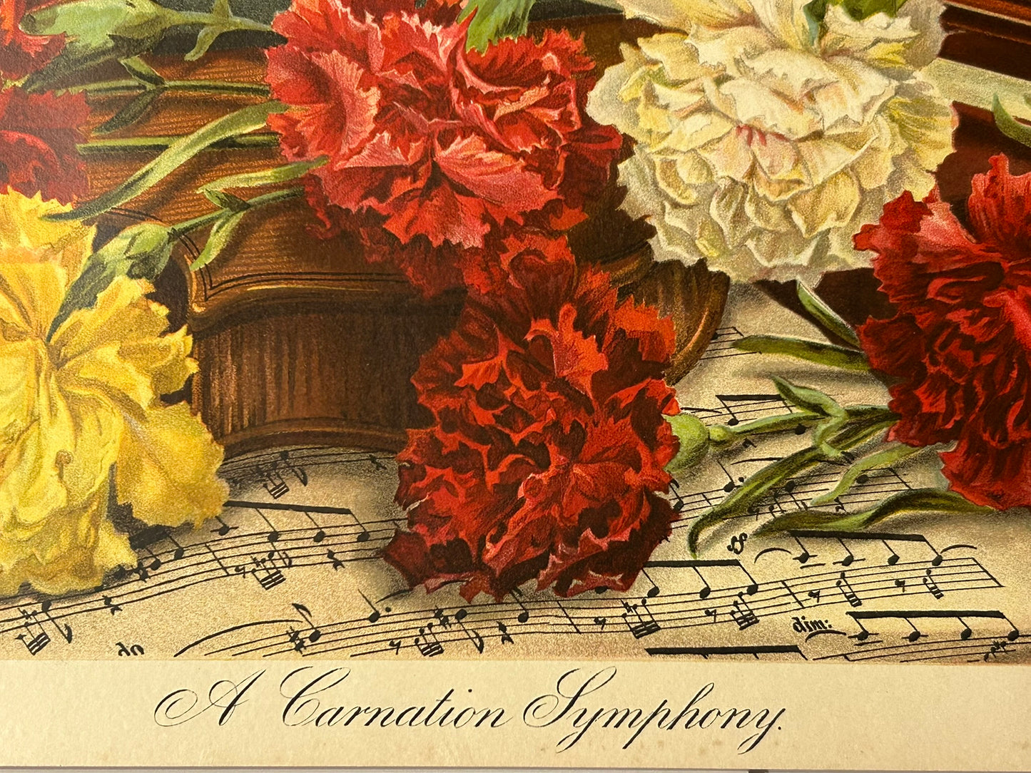 A CARNATION SYMPHONY ANTIQUE YARD LONG PRINT