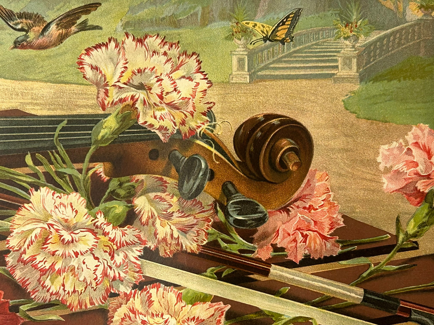 A CARNATION SYMPHONY ANTIQUE YARD LONG PRINT