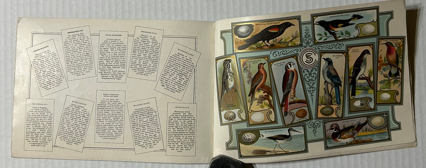 CHICLETS GUM ANTIQUE ADVERTISING ALBUM OF AMERICAN BIRDS