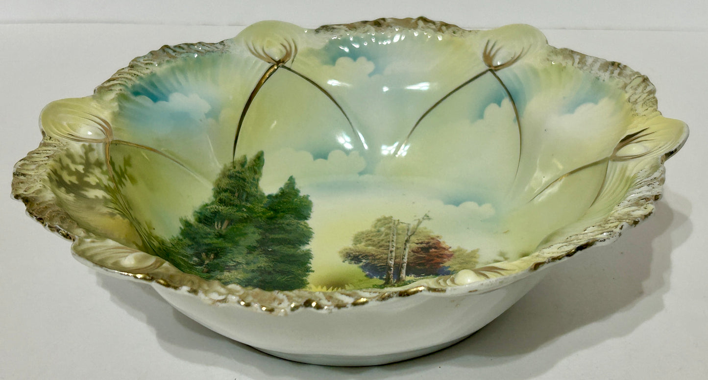 PRUSSIA TURKEY IN LANDSCAPE DECORATED ANTIQUE BOWL