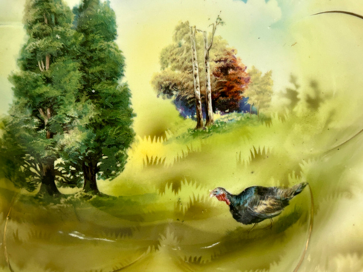 PRUSSIA TURKEY IN LANDSCAPE DECORATED ANTIQUE BOWL