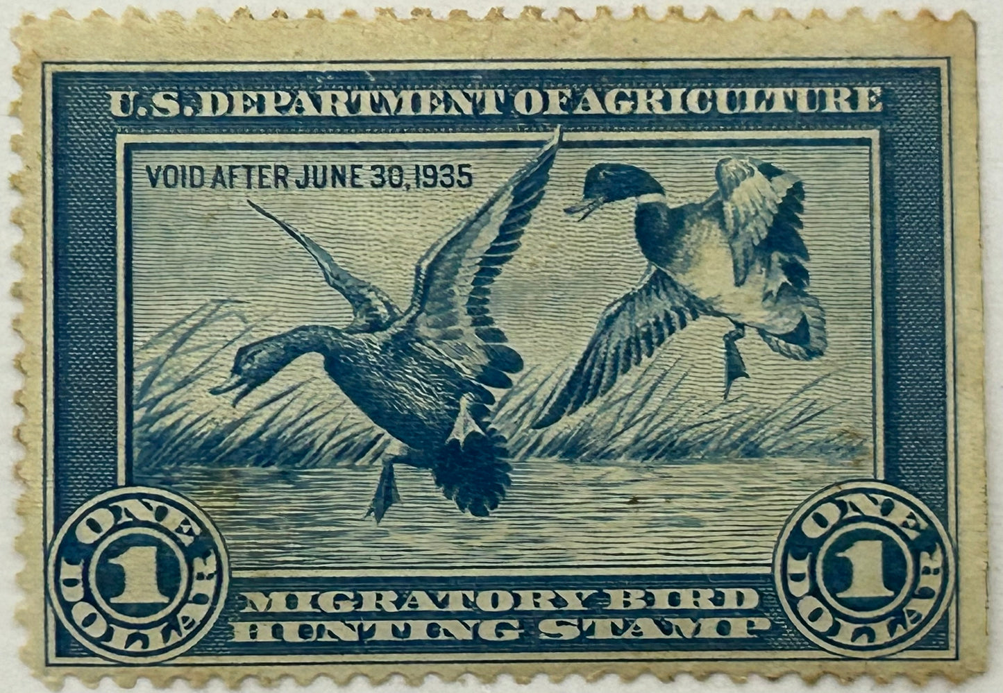 1934 MIGRATORY BIRD HUNTING STAMP IN NEAR MINT CONDITION