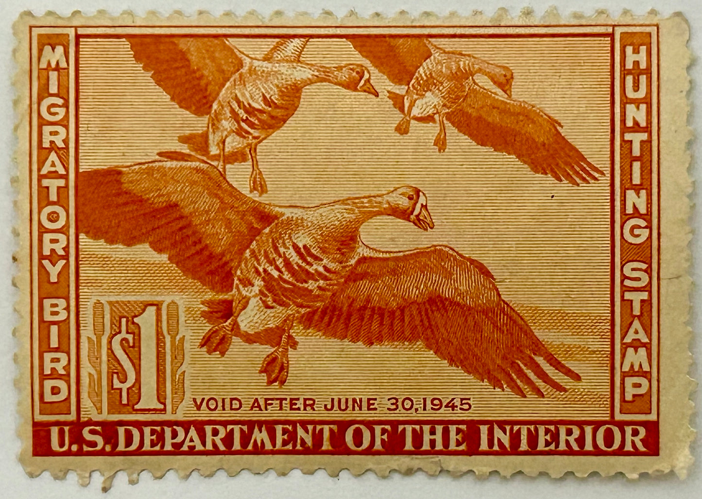 1944 MIGRATORY BIRD HUNTING STAMP IN NEAR MINT CONDITION