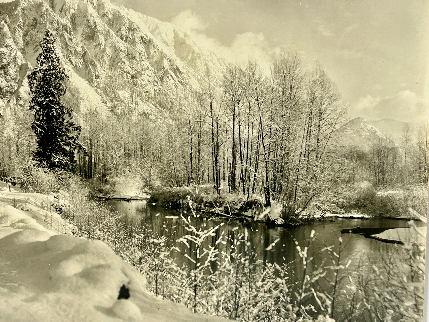 DARIUS KINSEY PHOTO OF REINIG ROAD IN SNOQUALMIE, WASHINGTON