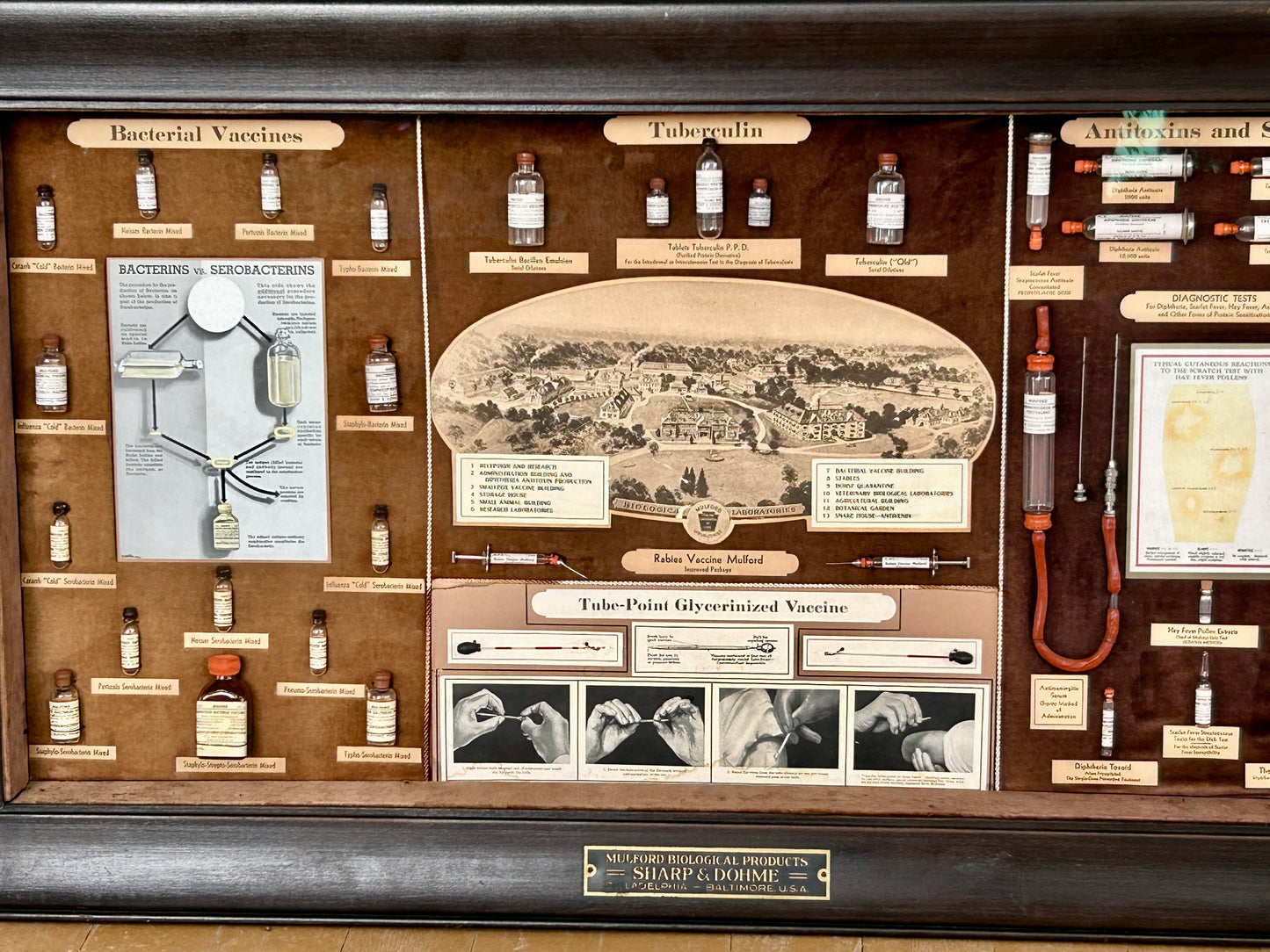 FRAMED EARLY ADVERTISING DISPLAY OF BIOLOGICAL PRODUCTS OF SHARP & DOHME