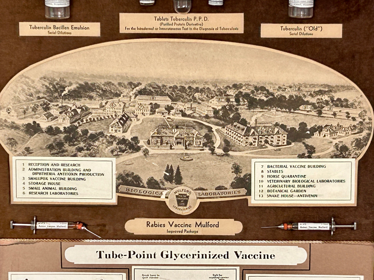 FRAMED EARLY ADVERTISING DISPLAY OF BIOLOGICAL PRODUCTS OF SHARP & DOHME