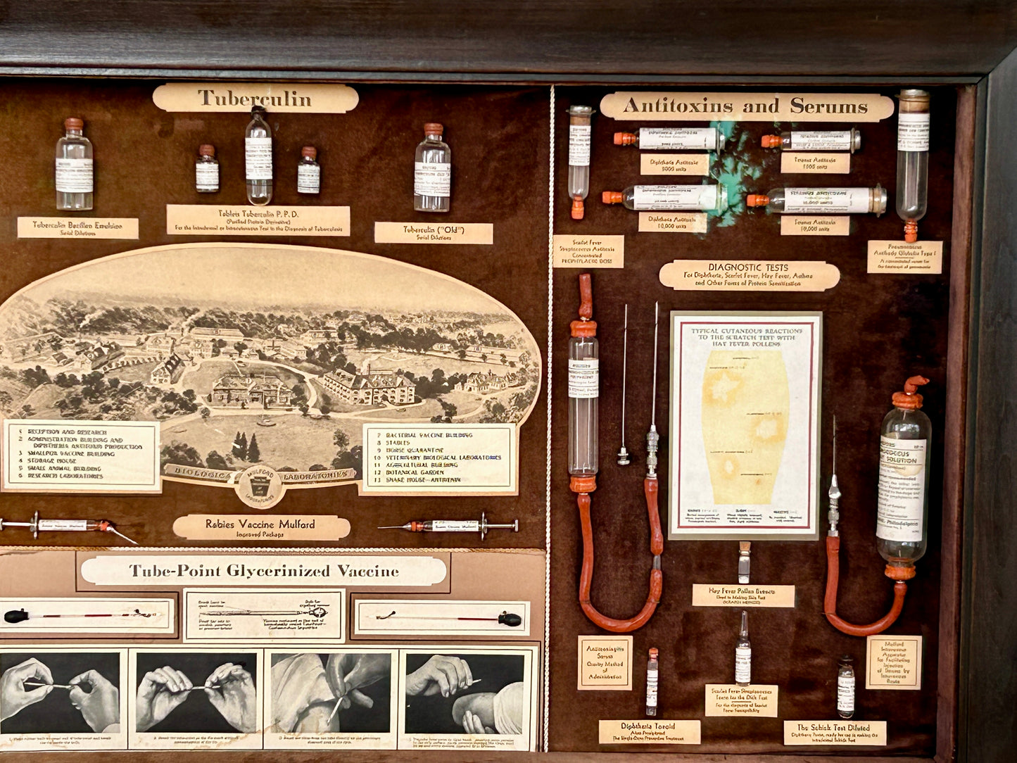 FRAMED EARLY ADVERTISING DISPLAY OF BIOLOGICAL PRODUCTS OF SHARP & DOHME
