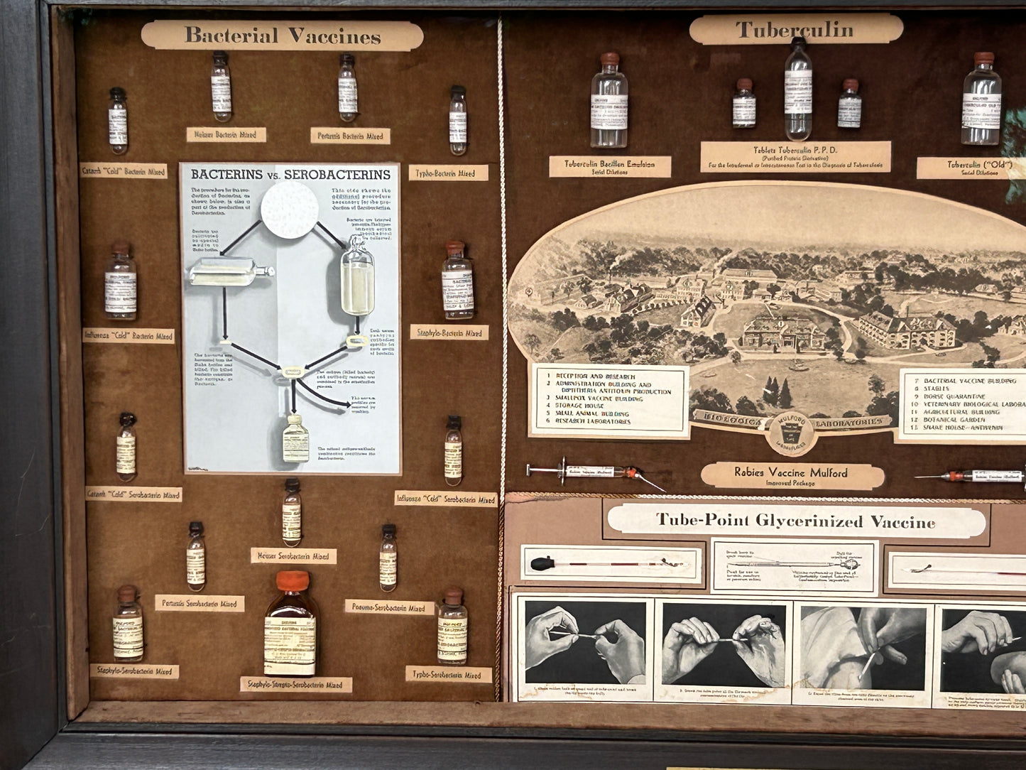 FRAMED EARLY ADVERTISING DISPLAY OF BIOLOGICAL PRODUCTS OF SHARP & DOHME