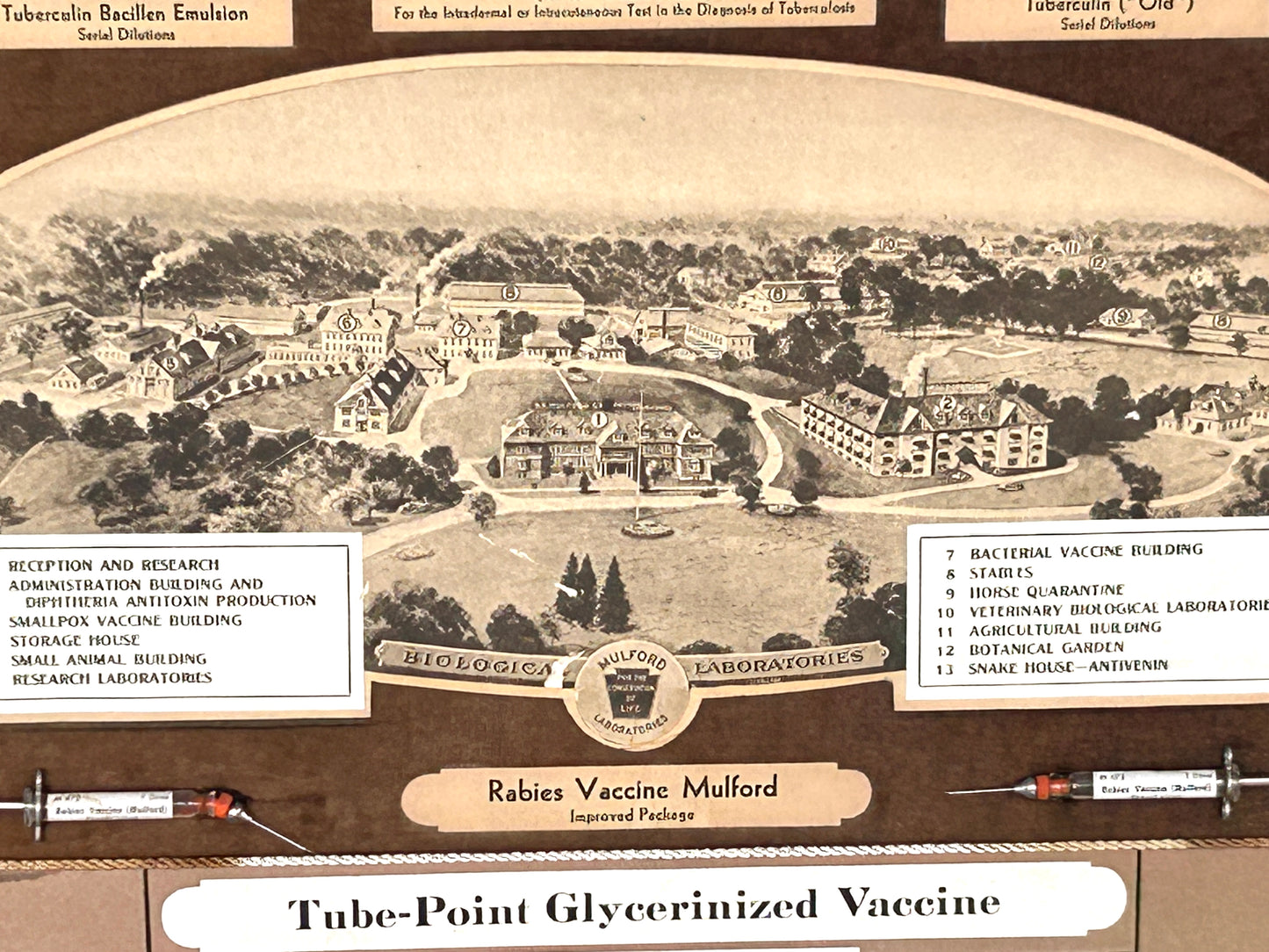FRAMED EARLY ADVERTISING DISPLAY OF BIOLOGICAL PRODUCTS OF SHARP & DOHME