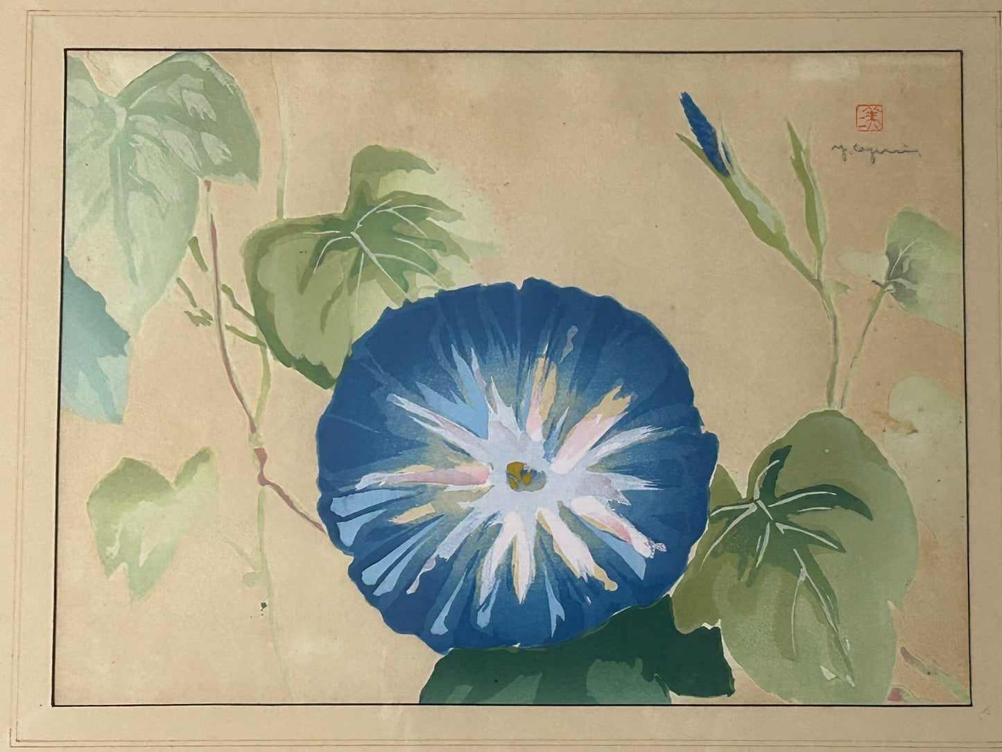 MORNING GLORIES ORIENTAL PRINT