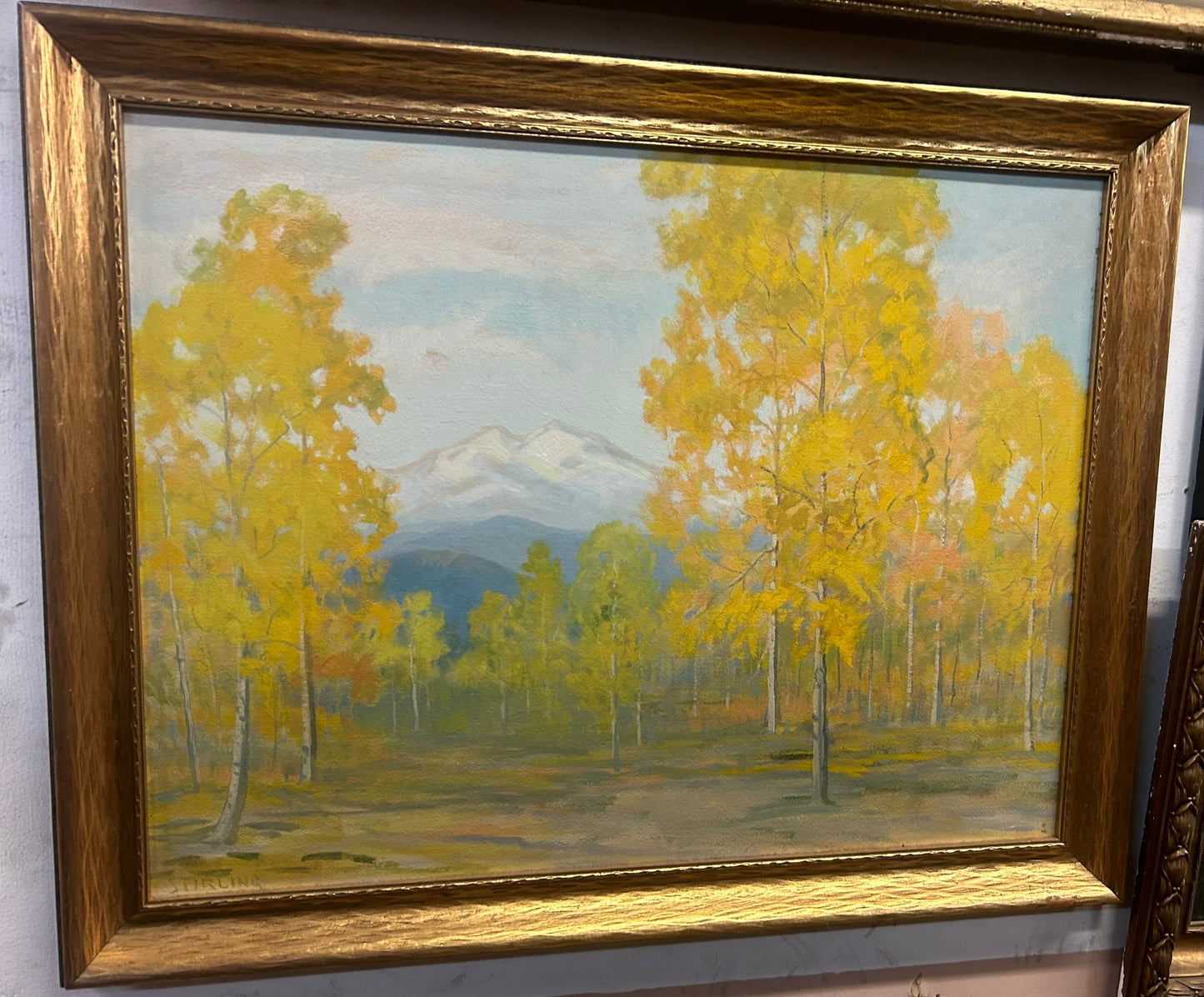 DAVID STERLING COLORADO ARTIST PAINTING OF ESTES PARK AREA