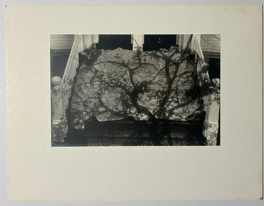 ANNA BUSH CREWS PHOTOGRAPH, NEW MEXICO