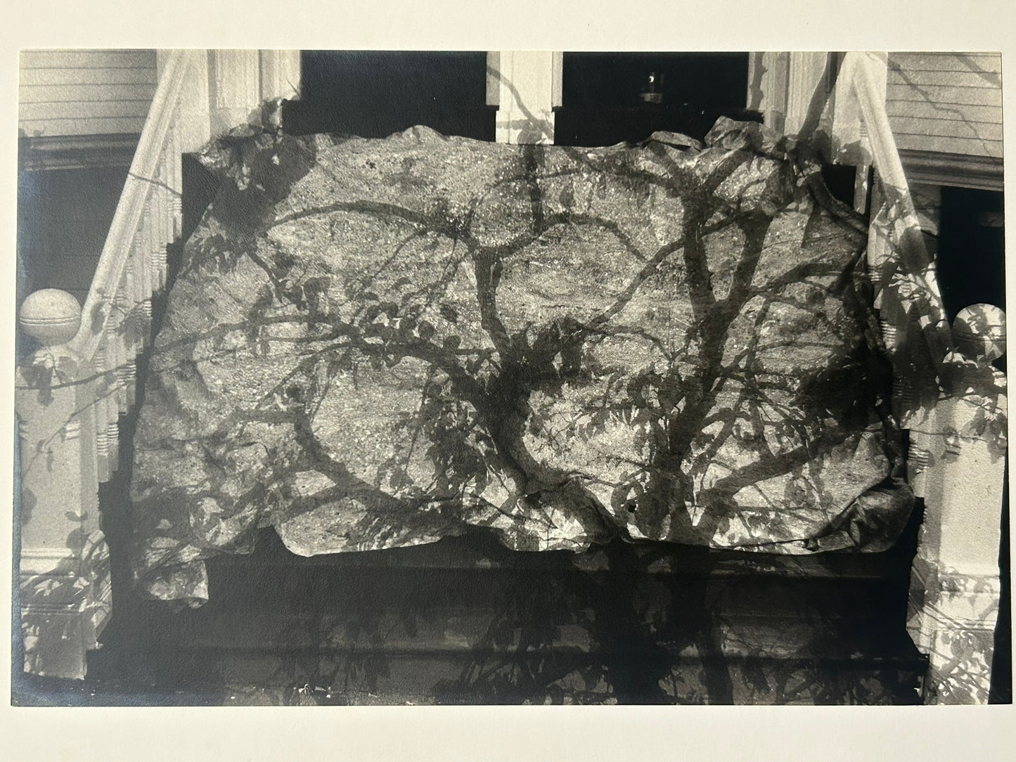 ANNA BUSH CREWS PHOTOGRAPH, NEW MEXICO