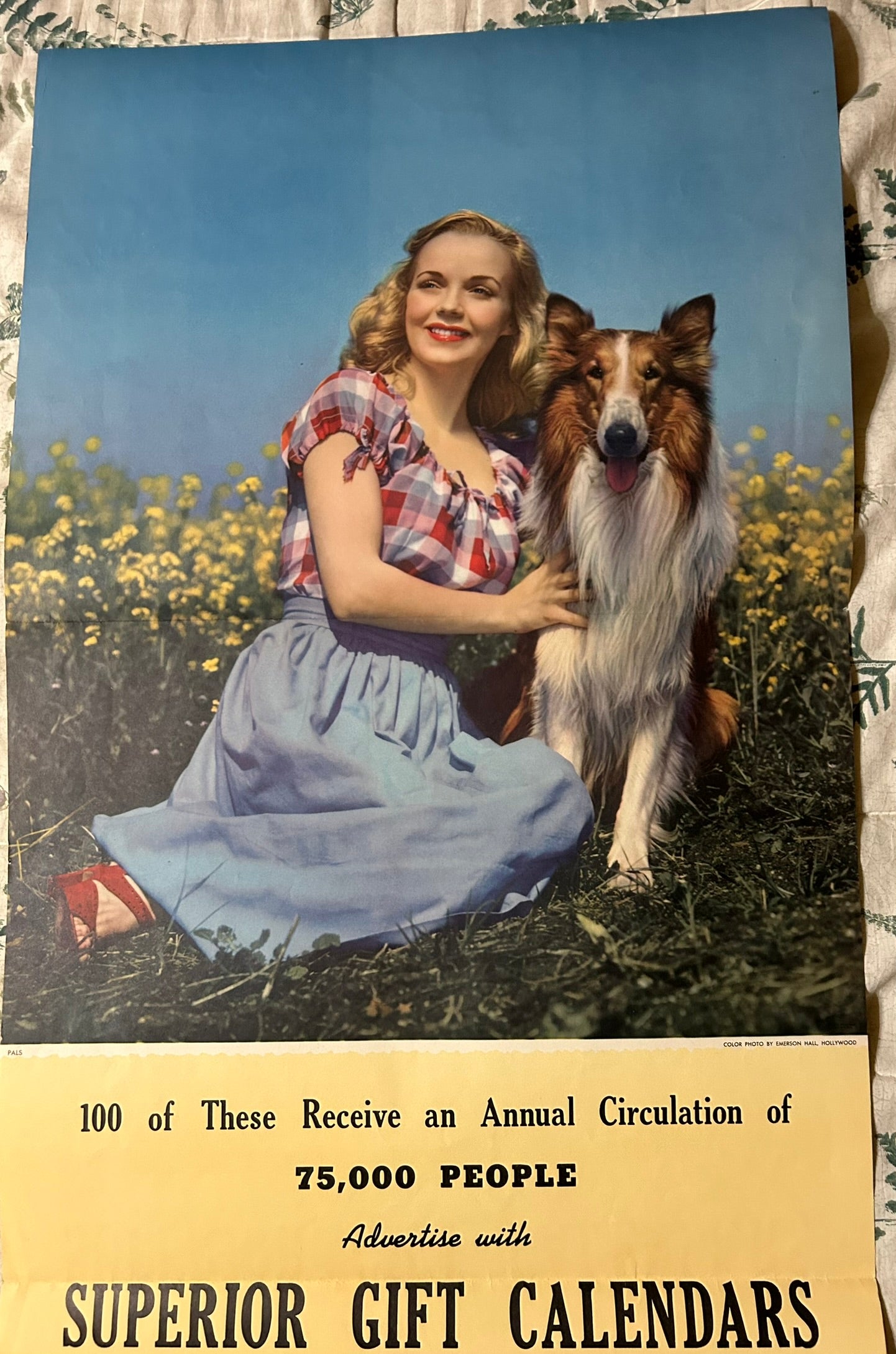 1951 ADVERTISING CALENDAR WITH PRETTY WOMAN AND COLLIE DOG