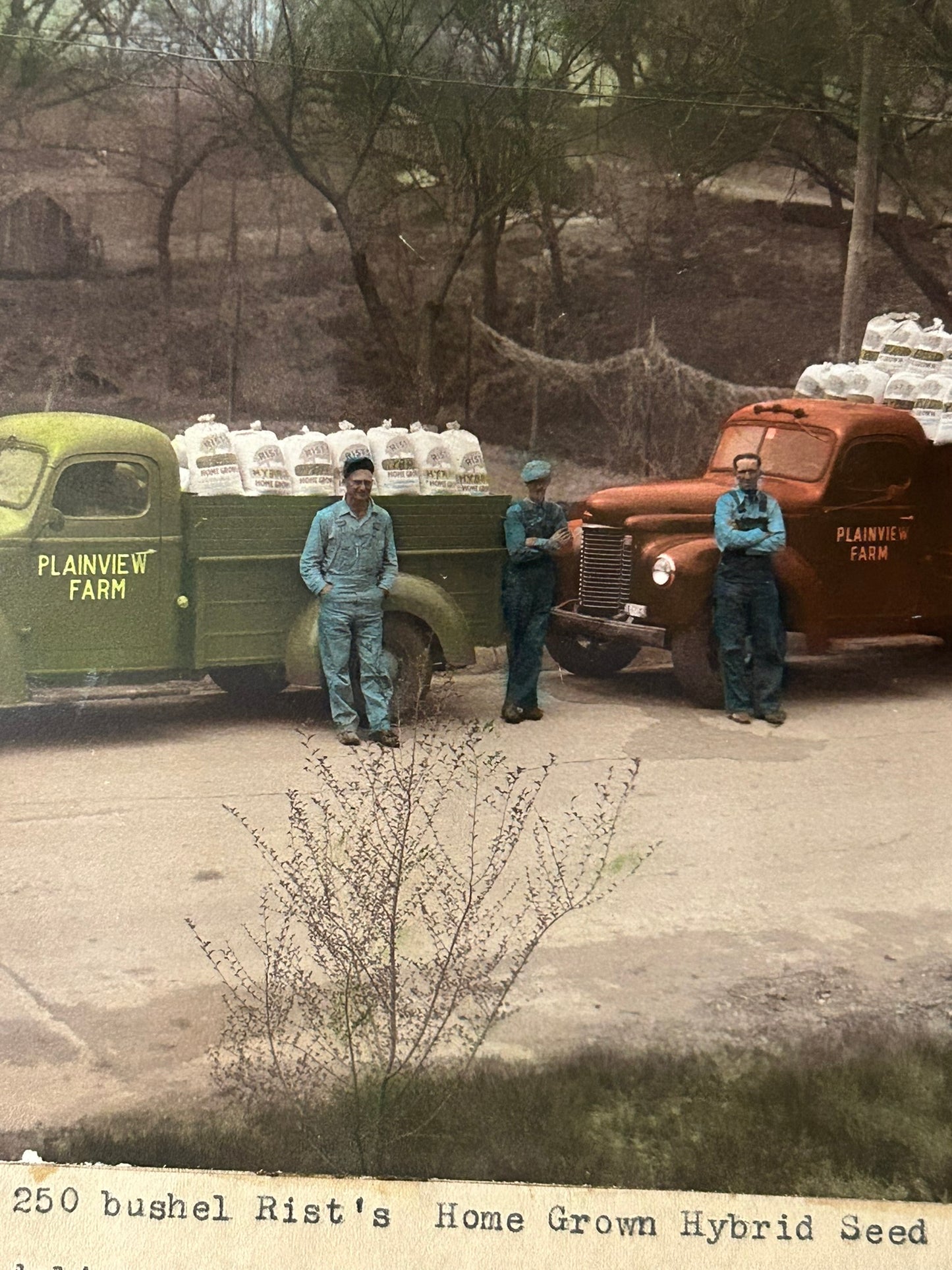 ADVERTISING PHOTO FOR PLAINVIEW FARM SEED CORN PAWNEE COUNTY NEBRASKA