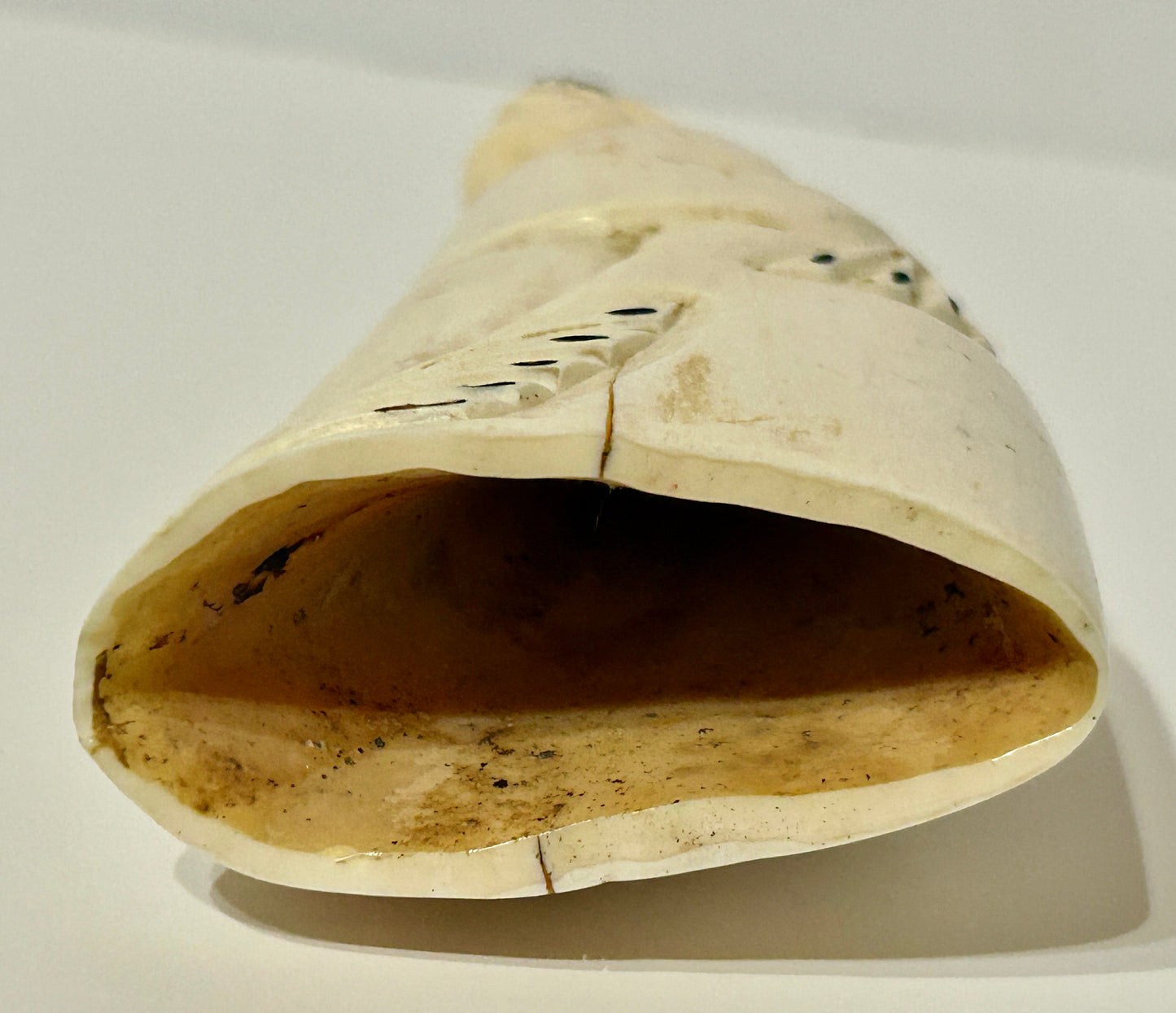 WALRUS IVORY CARVING OF WALRUS NORTH WEST COAST
