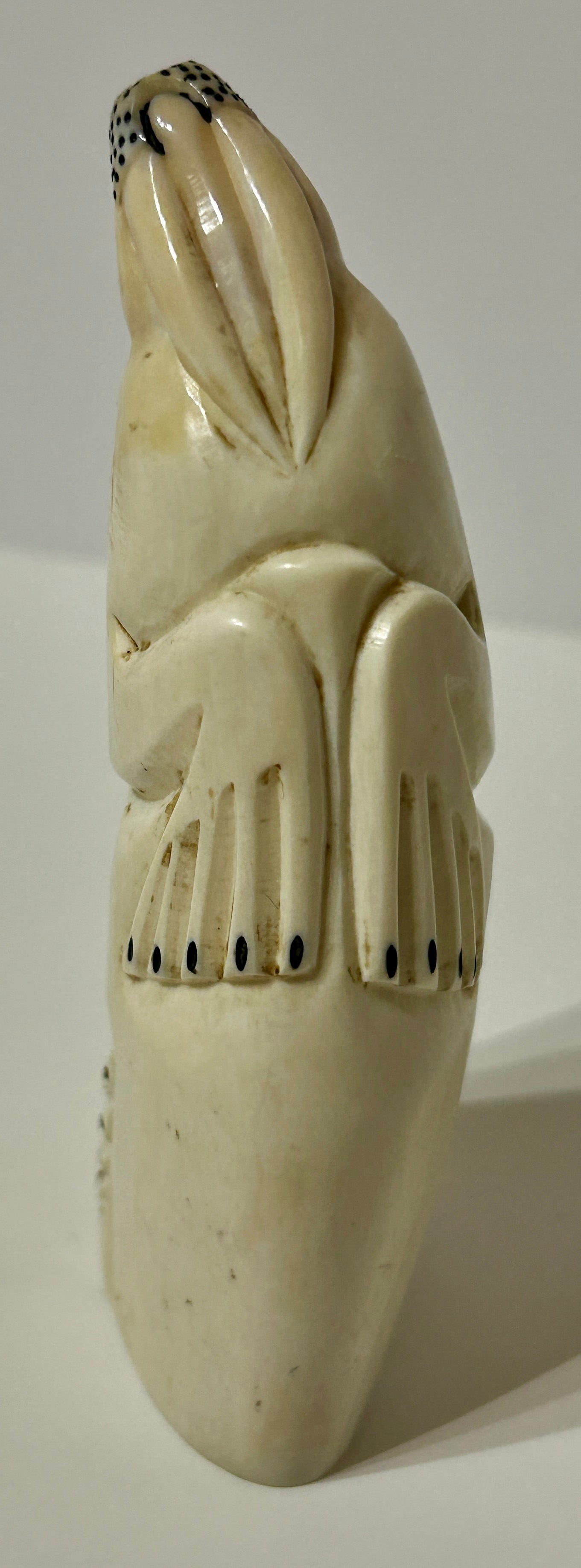 WALRUS IVORY CARVING OF WALRUS NORTH WEST COAST