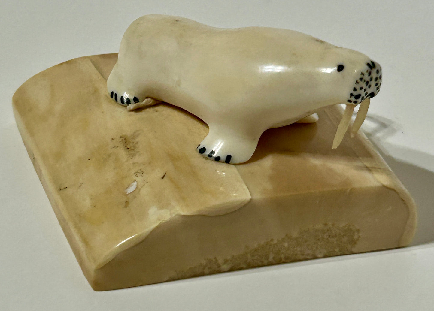 WALRUS IVORY CARVING OF WALRUS ON BASE