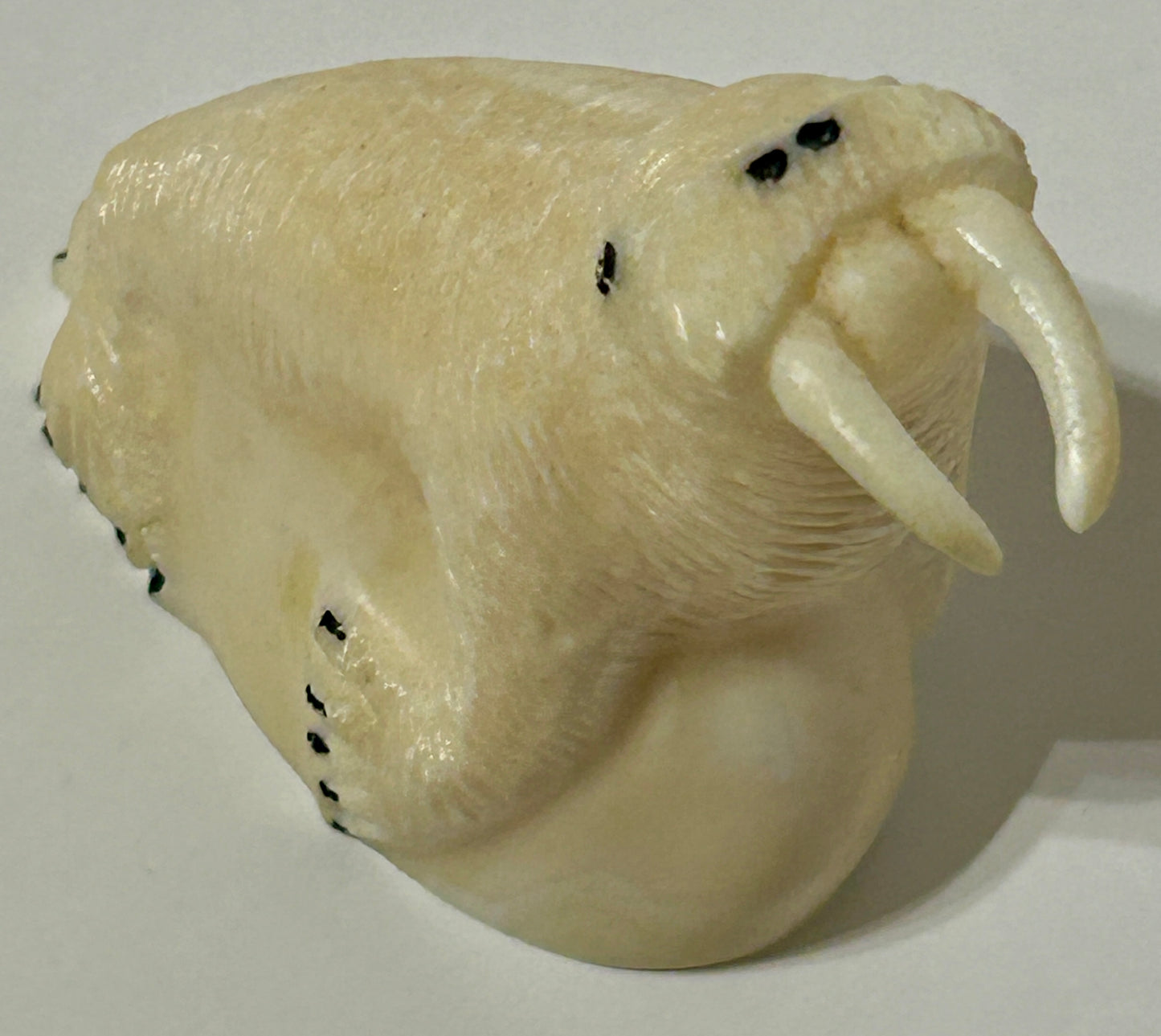 WALRUS IVORY CARVING OF ARTIST SIGNED WALRUS