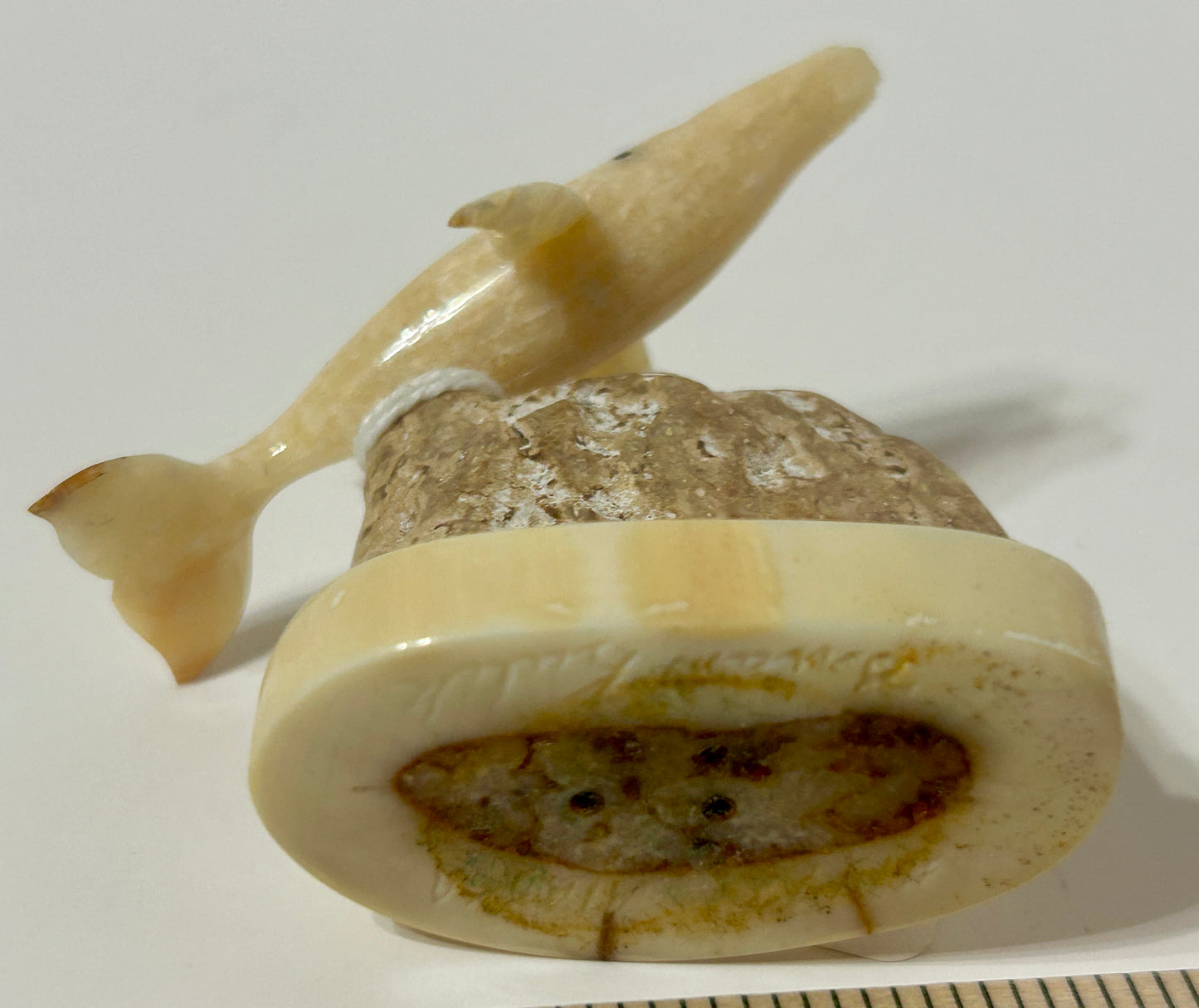 WALRUS IVORY CARVED WHALE ARTIST SIGNED