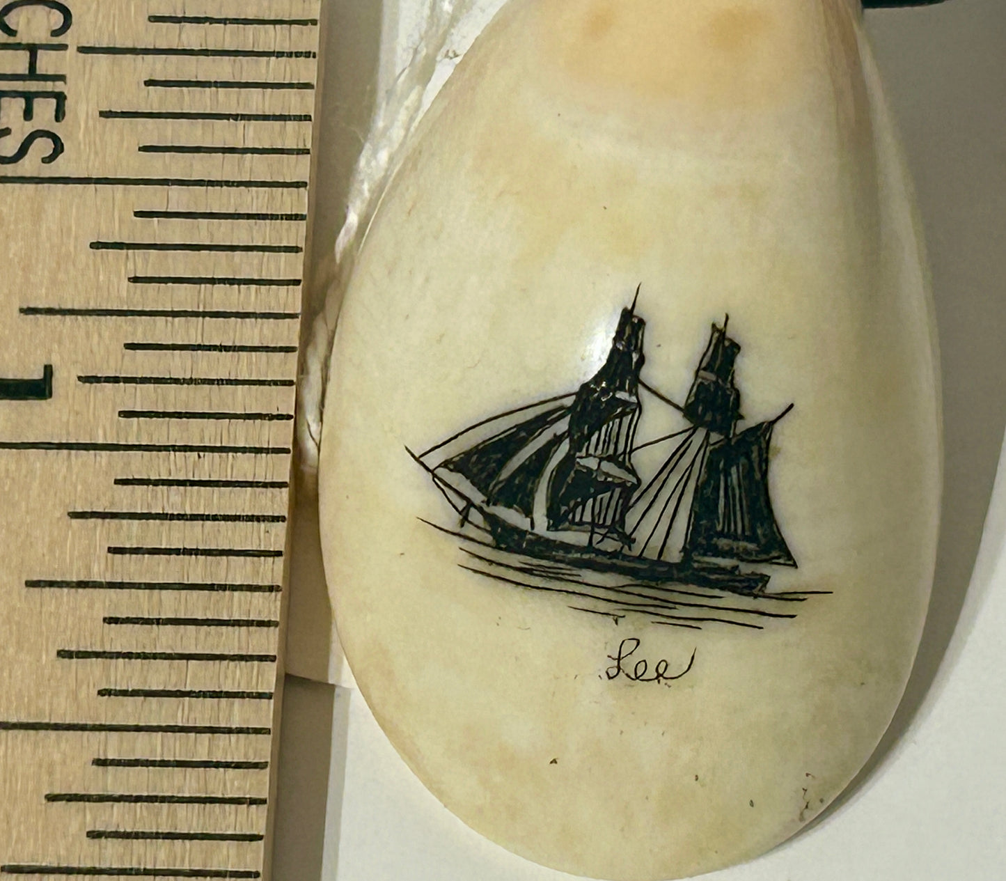 IVORY TOOTH SCRIMSHAW NECKLACE