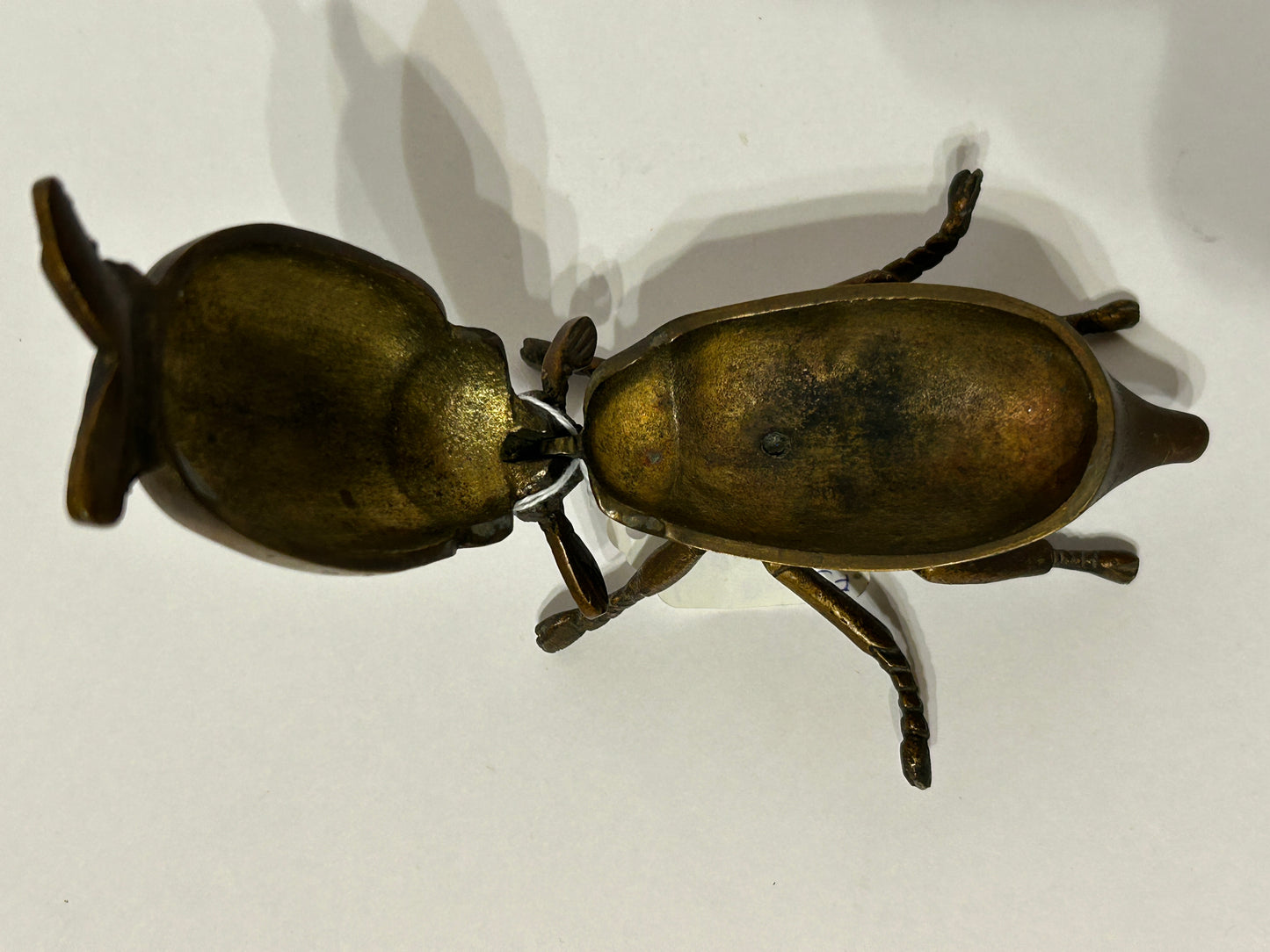 ANTIQUE CAST BRASS BEETLE MATCH HOLDER