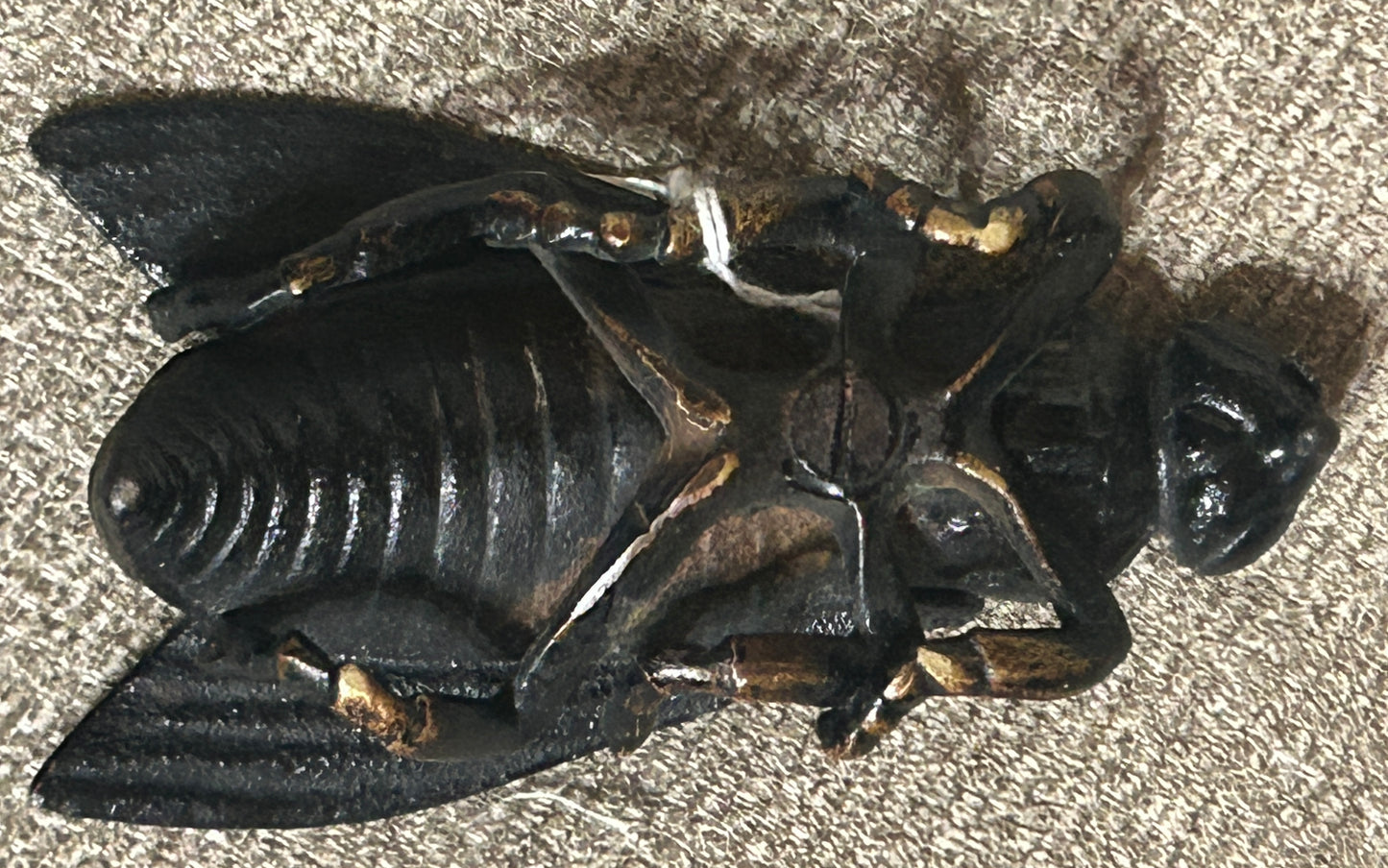 CAST IRON FLY MATCH HOLDER ANTIQUE