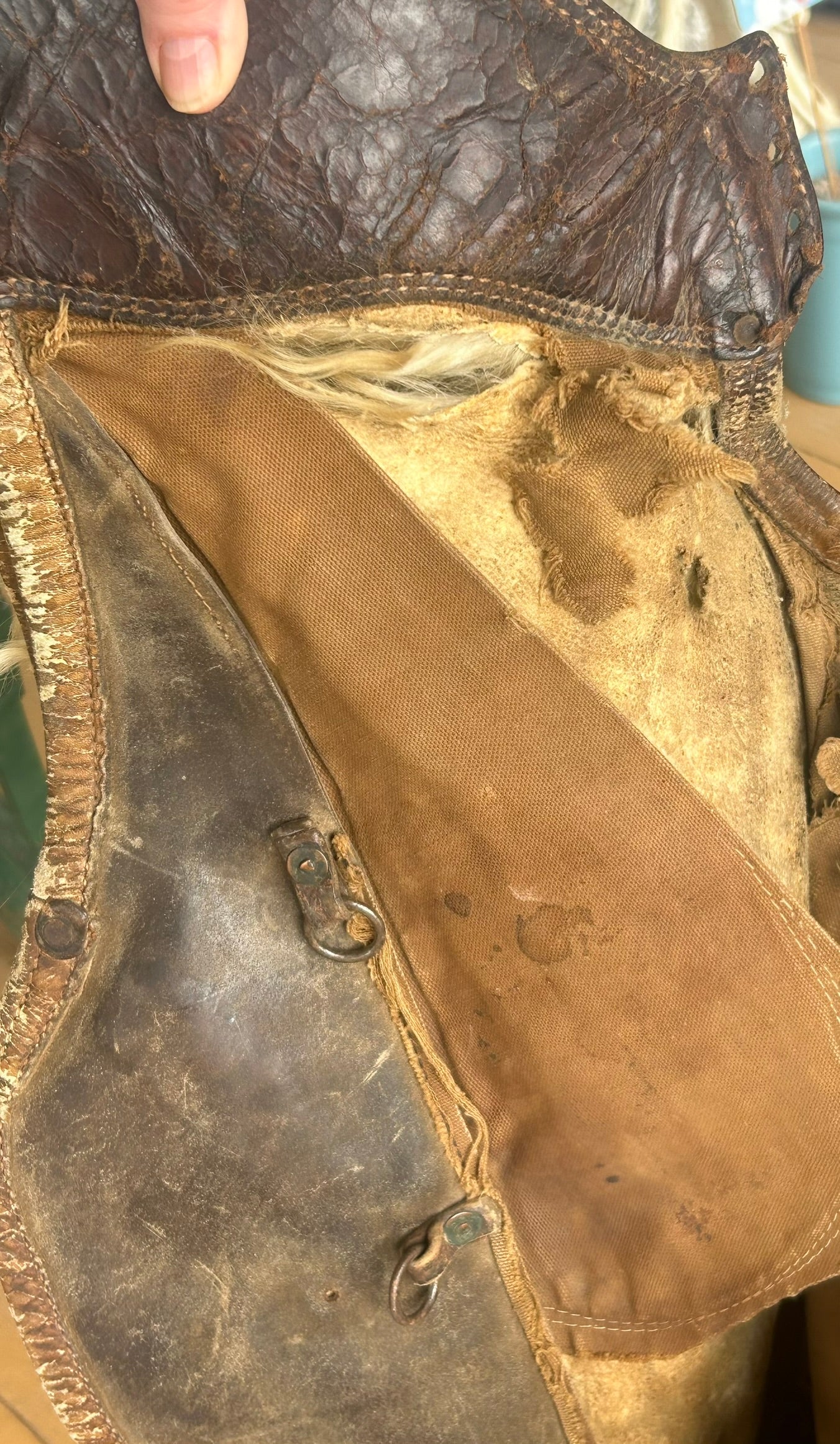 HAMLEY & CO.  PENDLETON, OREGON PAIR OF WOOLY CHAPS
